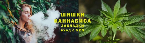 прущие грибы Переславль-Залесский